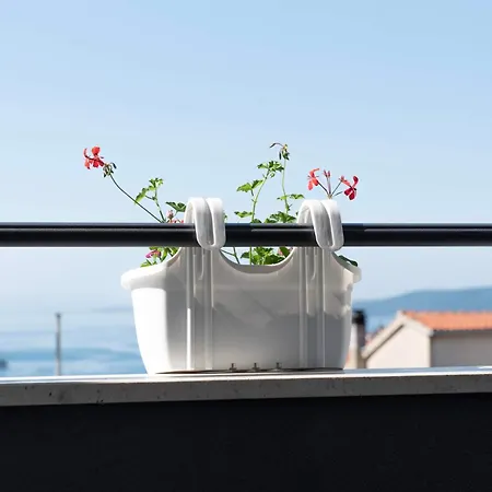 M&m Apartament